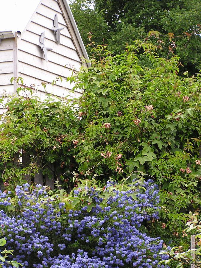 Lemonade Creek Cottages 론 외부 사진