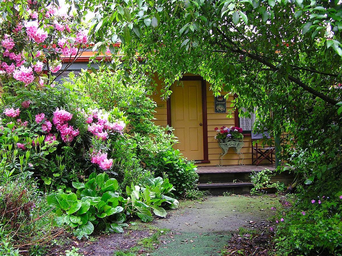 Lemonade Creek Cottages 론 외부 사진