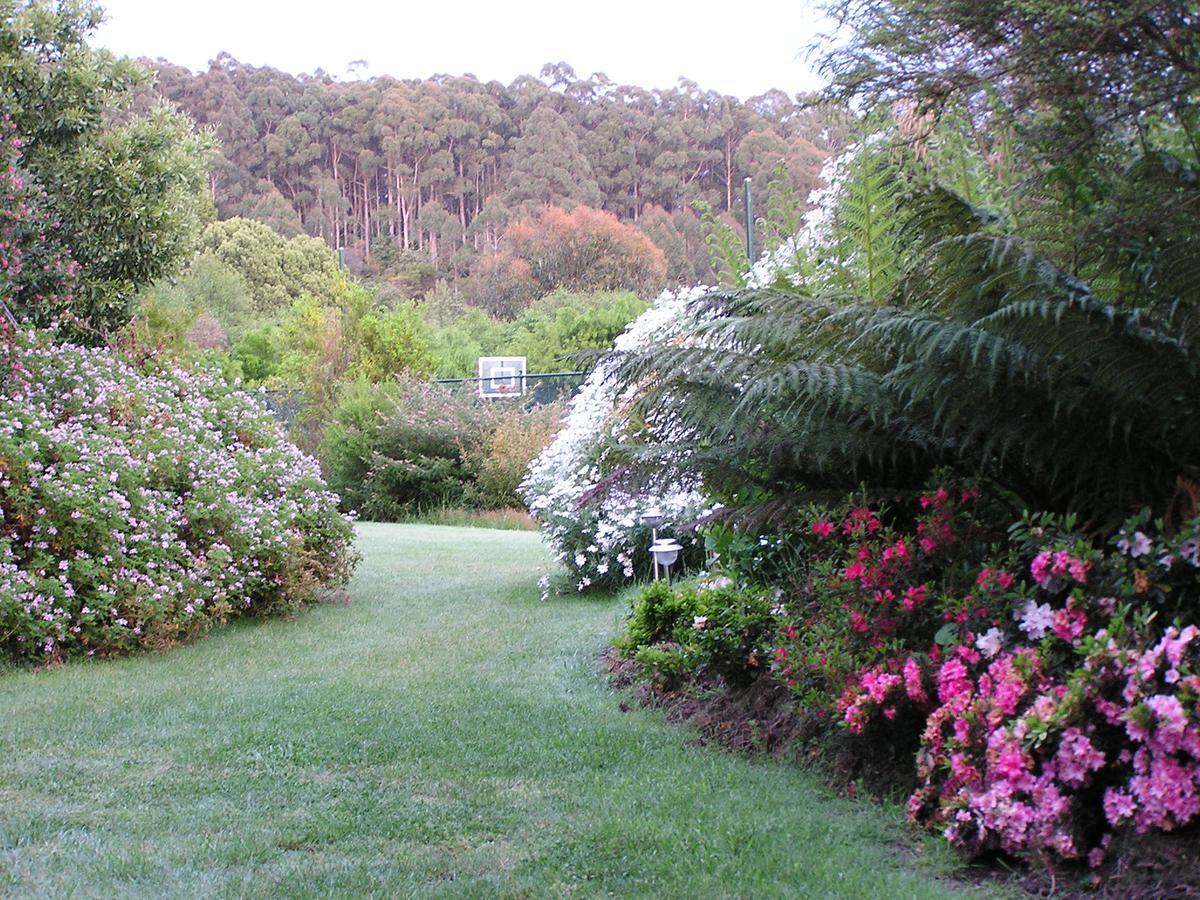 Lemonade Creek Cottages 론 외부 사진
