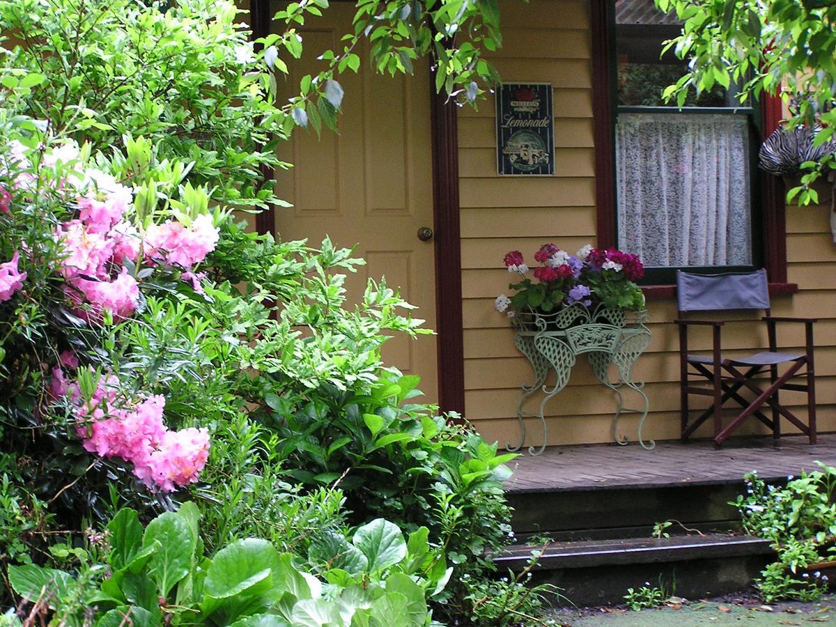 Lemonade Creek Cottages 론 외부 사진