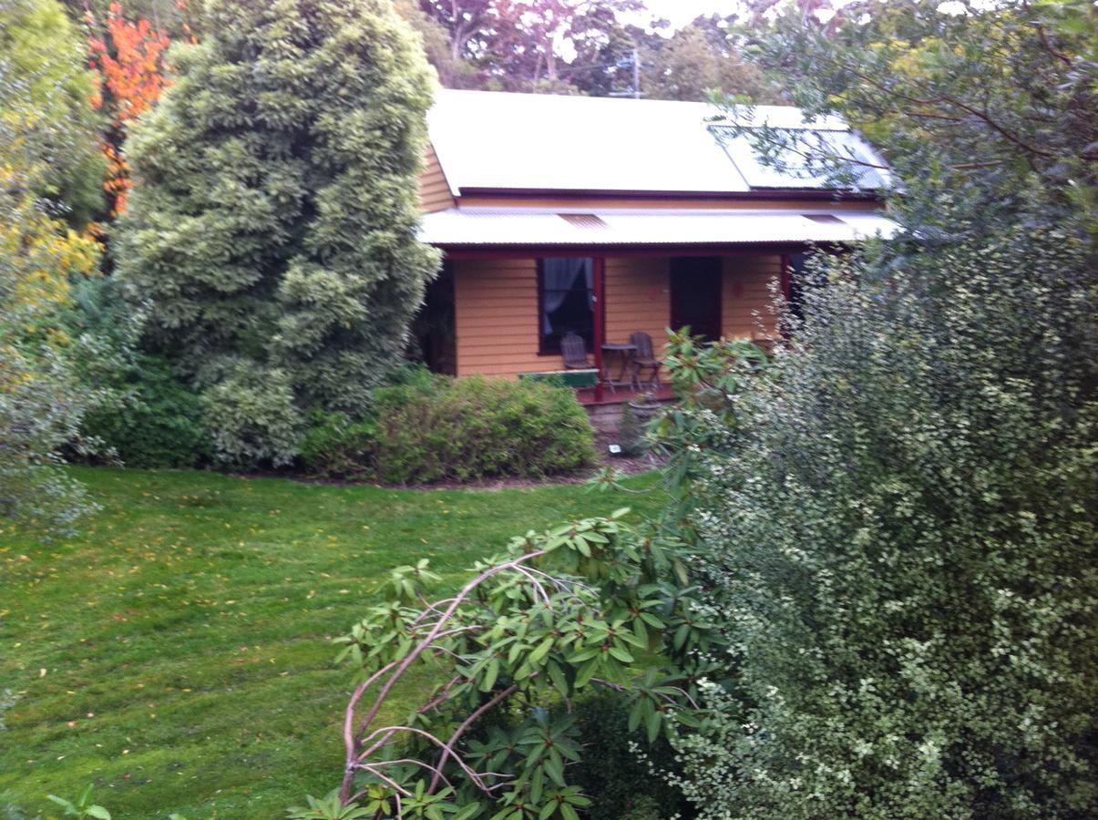 Lemonade Creek Cottages 론 외부 사진