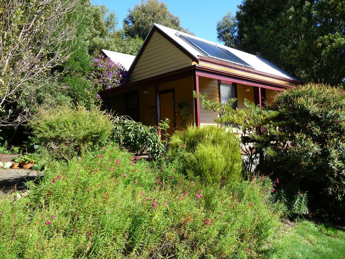 Lemonade Creek Cottages 론 외부 사진