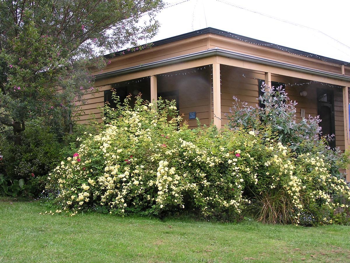 Lemonade Creek Cottages 론 외부 사진