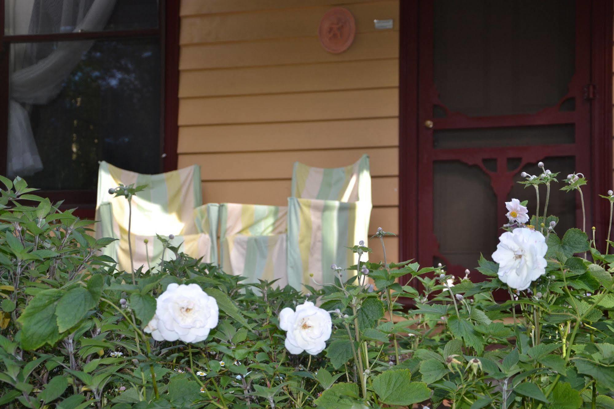 Lemonade Creek Cottages 론 외부 사진